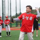 고성군 야구장 이미지