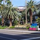 바다에서 떠오르는 해(별관) | 제주도 우진해장국 본관 고사리해장국 맛집, 평일 웨이팅 후기+별관