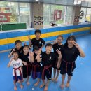 휘트니스서울경희대태권도 | [ 경희대참태권도 ] 찾아오는 승품단심사 후기