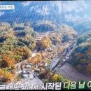 포시즌하우스 이미지