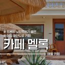 애월 멜록 해안도로 옆 애견동반 가능 사진 잘 나오는 카페