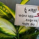 부산 서면 텐스 네이버블로그