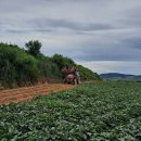 선영농장 이미지