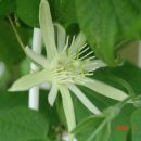 장현3리 이미지