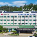 동해시-43 이미지