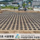 삼일이엔씨주 이미지