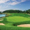 파인비치B 이미지