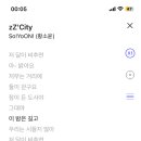 zz city 노래 무슨 뜻일까 이미지