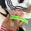 운지로 | 코엑스 2026 서울국제불교박람회 첫날 방문 후기 (현장구매)