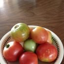 철길농장 이미지