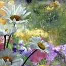 바람의말 이미지