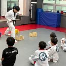 용인대하가태권도 이미지