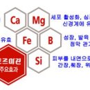 허브애 이미지