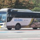 제천관광택시 | [ 제천 2박 3일 여행 ] 제천 관광 택시 후기, 시티 투어 버스 비교