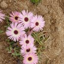 홍천산골놀이터 이미지