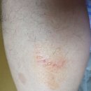 빛고을종로약국 이미지