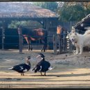 부부슈퍼마켓 이미지