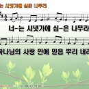 시냇가에심은나무 이미지
