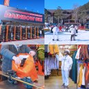 골드 피시존 (인-246) | 용평리조트 스키장 렌탈샵 오픈 리프트권 슬로프 총정리