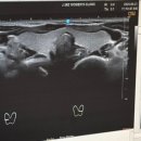 제이산부인과의원 이미지