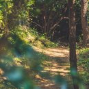 호랑산 둘레길 이미지