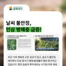 쫑서리