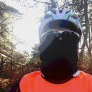 남창애견샵 복실강아지 이미지