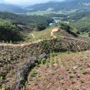 곡성-105 이미지