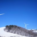 이&장 목장 이미지