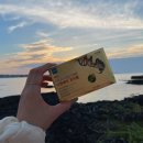 (주)조이셀 이미지