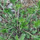 송해면사무소 이미지