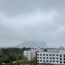 유민미술관 | JEJU_02(유민 아르누보 뮤지엄, 섭지코지, 바람의...코히, 약천사, 삼강식당 본점, 서귀포 올레시장)