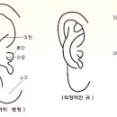 【마의상서(관상학)】마의 선인(麻衣仙人) 이미지