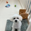 omokjomok(오목조목) 이미지