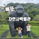 목포자연사박물관 주차장 입장료 놀이터 수유실 아이와