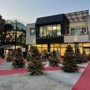 카페인 포레스트 본점 | 대구 근교 영천 카페인포레스트 본점 눈 내리는 크리스마스트리 카페
