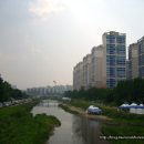 하천(비산대교) 이미지