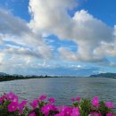 죽동마을회관앞 이미지