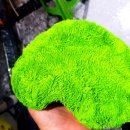 원일세차장 이미지