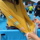 내성천 생활체육공원 이미지