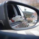 화목종합동물병원 이미지