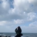 서유목장 | 있고1, 갔고1, 늦었고1. (우당탕탕 제주)