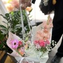 바이민s 이미지
