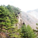 보원 이미지