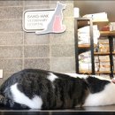 방학동물병원 이미지