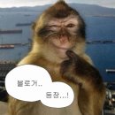 난감정없는싸이코라그런가이런거보면미동도안함