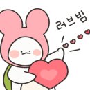 가나앵글 이미지