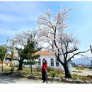 신흥교회 앞 이미지