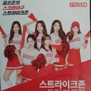 스트라이크존 화성봉담구장