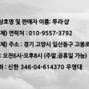 [투라샵] 폰뒤에 붙어서 충전,카드여러장,현금보관까지 해주는 "올인원충전지갑" - 홀가분히 라이딩하세요 ! 이미지